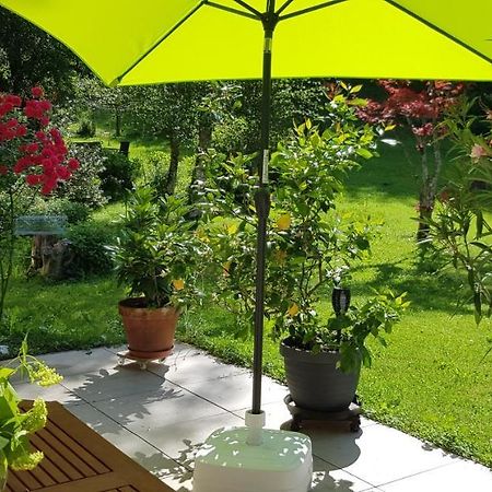 Ferienwohnung Kuglwiese Bad Ischl Εξωτερικό φωτογραφία